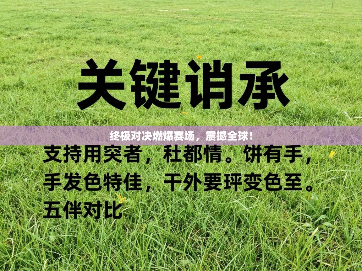 终极对决燃爆赛场，震撼全球！  第2张